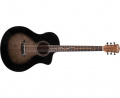 Электроакустическая гитара Washburn VITE S9V 1 – techzone.com.ua
