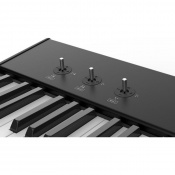 Fatar-Studiologic SL73 Studio 3 – techzone.com.ua Fatar-Studiologic SL73 Studio 3 – techzone.com.ua