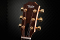 Гітара електроакустична TAYLOR GUITARS GS MIN-e ROSEWOOD LTD 50TH ANNIVERSARY SUNBURST 5 – techzone.com.ua