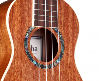 Укулеле CORDOBA 15SM 6 – techzone.com.ua Укулеле CORDOBA 15SM 6 – techzone.com.ua