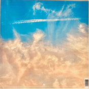 Виниловая пластинка 30 Seconds To Mars – It's The End Of The World But It's A Beautiful Day (Colored Vinyl) [LP] 2 – techzone.com.ua