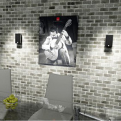 Акустика DALI Fazon Micro Vokal Iron Black 5 – techzone.com.ua