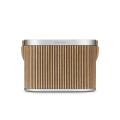 Акустична система BANG & OLUFSEN Beosound A5 Oak 4 – techzone.com.ua