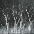Вінілова платівка LP Radiohead: THE KING OF LIMBS 3 – techzone.com.ua
