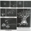 Вінілова платівка LP Radiohead: THE KING OF LIMBS 4 – techzone.com.ua