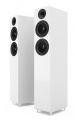 Підлогова акустика Acoustic Energy AE 309 Piano Gloss White 1 – techzone.com.ua