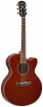 Электроакустическая гитара YAMAHA CPX600 (Root Beer) 1 – techzone.com.ua