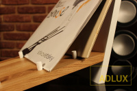 Подставка для пластинок ADLUX Vinyl VS-1 White 2 – techzone.com.ua Подставка для пластинок ADLUX Vinyl VS-1 White 2 – techzone.com.ua