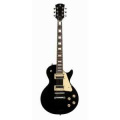 STAGG SEL-STD BLK 1 – techzone.com.ua