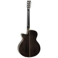 TANGLEWOOD TW4 CE BS 2 – techzone.com.ua