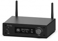Мережевий підсилювач Arylic H50 (H50WSAMP) 1 – techzone.com.ua