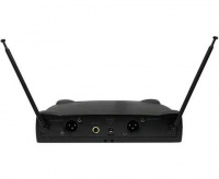 Мікрофонна радіосистема HL AUDIO HL-7016 2 – techzone.com.ua