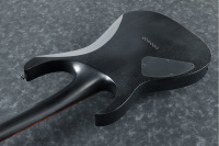 Электрогитара Ibanez RGRT421 WK 3 – techzone.com.ua