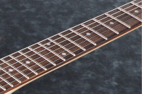Электрогитара Ibanez RGRT421 WK 4 – techzone.com.ua