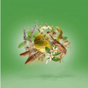 Xerjoff Casamorati Fiero Парфумована вода для чоловіків 100 мл 2 – techzone.com.ua Xerjoff Casamorati Fiero Парфумована вода для чоловіків 100 мл 2 – techzone.com.ua