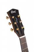 CORT GOLD-A6 Bocote (Natural) 4 – techzone.com.ua CORT GOLD-A6 Bocote (Natural) 4 – techzone.com.ua