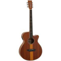 TANGLEWOOD TRU4 CE AS 1 – techzone.com.ua