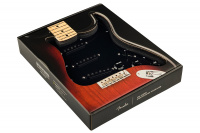 Пікгард зі звукознімачами FENDER PRE-WIRED STRAT PICKGUARD PURE VINTAGE '59 W/RWRP MIDDE 3 – techzone.com.ua Пікгард зі звукознімачами FENDER PRE-WIRED STRAT PICKGUARD PURE VINTAGE '59 W/RWRP MIDDE 3 – techzone.com.ua