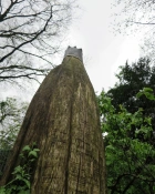 Orto Parisi Viride Парфуми унісекс 50 мл 8 – techzone.com.ua Orto Parisi Viride Парфуми унісекс 50 мл 8 – techzone.com.ua