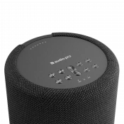 Акустична система Audio Pro A10 MkII W Black 3 – techzone.com.ua