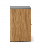 Акустика Focal Aria EVO X N 1 Prime Walnut 4 – techzone.com.ua Акустика Focal Aria EVO X N 1 Prime Walnut 4 – techzone.com.ua