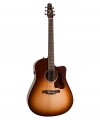 Електро акустична гітара Seagull Entourage Autumn Burst 1 – techzone.com.ua