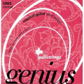 Струни для класичної гітари Galli Genius PROcoated GR65 С (29-44) Normal tension – techzone.com.ua