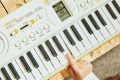 Синтезатор CASIO Casiotone SA-80H7 7 – techzone.com.ua