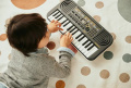 Синтезатор CASIO SA-51 6 – techzone.com.ua