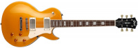 CORT CR200 (Gold Top)