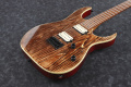 Электрогитара Ibanez RG421HPAM ABL 2 – techzone.com.ua