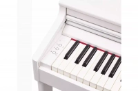 Roland RP701 WH Цифровое пианино 4 – techzone.com.ua