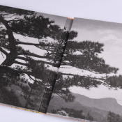 Виниловая пластинка Jamala - QIRIM (Colored Vinyl) [2LP] 3 – techzone.com.ua