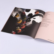 Виниловая пластинка Jamala - QIRIM (Colored Vinyl) [2LP] 5 – techzone.com.ua