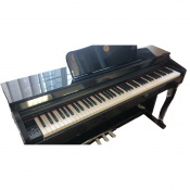 Цифрове піаніно Alfabeto Allegro (Polish Black) 4 – techzone.com.ua