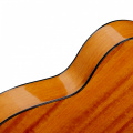 Класична гітара Alfabeto Spruce44 + чохол 5 – techzone.com.ua