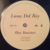 Виниловая пластинка LP2 Lana Del Rey: Blue Banisters 8 – techzone.com.ua Виниловая пластинка LP2 Lana Del Rey: Blue Banisters 8 – techzone.com.ua