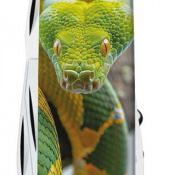 Складаний ніж Victorinox CLIMBER ZODIAC Зелена змія 1.3703.7.Z4270pk 5 – techzone.com.ua Складаний ніж Victorinox CLIMBER ZODIAC Зелена змія 1.3703.7.Z4270pk 5 – techzone.com.ua