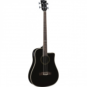 Електроакустична бас-гітара Eko Guitars NXT Bass B100ce (See Thru Black) 2 – techzone.com.ua