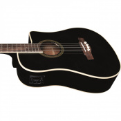 Електроакустична бас-гітара Eko Guitars NXT Bass B100ce (See Thru Black) 3 – techzone.com.ua
