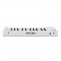 MIDI-клавіатура Arturia MicroLab mk3 White + Analog Lab V 6 – techzone.com.ua