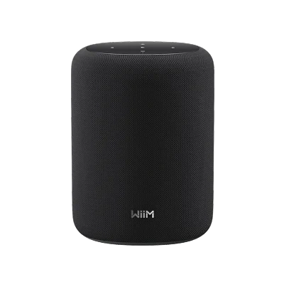 Смарт-колонка WiiM Sound Lite Black – techzone.com.ua