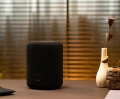 Смарт-колонка WiiM Sound Lite Black 6 – techzone.com.ua