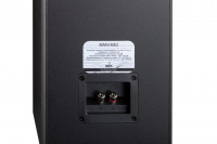 Акустична система Davis Acoustics Mani MK2 Black Ash 4 – techzone.com.ua Акустична система Davis Acoustics Mani MK2 Black Ash 4 – techzone.com.ua