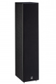 Акустична система Davis Acoustics Mani MK2 Black Ash 2 – techzone.com.ua
