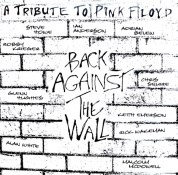 Виниловая пластинка LP2 Pink Floyd: Back Against the Wall -Coloured