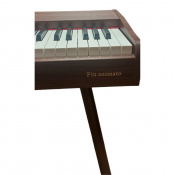 Цифровое пианино Alfabeto Piu Animato (Light Brown) 3 – techzone.com.ua