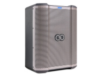 Акустика Alto Professional Sheeran Special Edition Busker 7 – techzone.com.ua