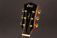 CORT GOLD-A6 (Natural) 6 – techzone.com.ua