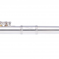 Флейта STAGG P WS-FLL111 5 – techzone.com.ua